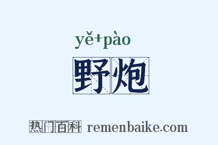 野炮是什么意思的图片